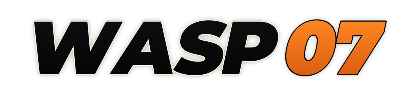 wasp07